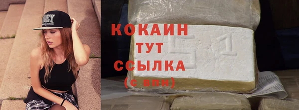 соль ск Арсеньев