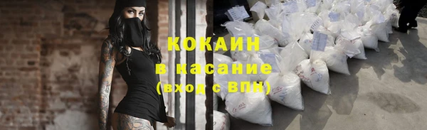 индика Армянск