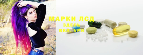 соль ск Арсеньев