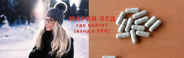 PSILOCYBIN Аркадак