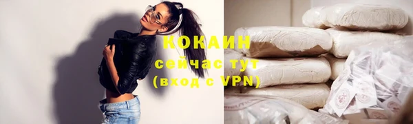 соль ск Арсеньев