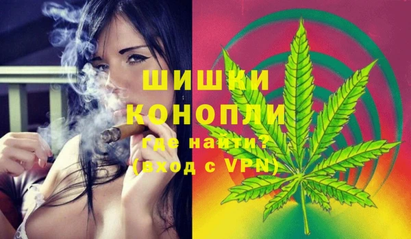 индика Армянск
