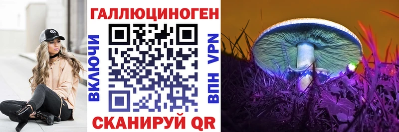 купить   ОМГ ОМГ ONION  Псилоцибиновые грибы Cubensis  Балтийск 