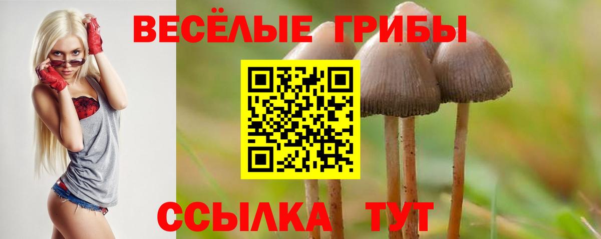 Псилоцибиновые грибы прущие грибы Балтийск